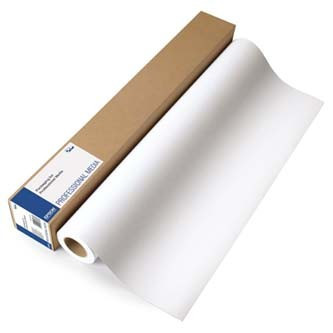 Levně Epson 1524/30.5/Premium Glossy Photo Paper Roll, 1524mmx30.5m, 60", C13S042136, 255 g/m2, foto papír, bílý
