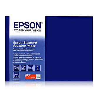 Levně Epson Standard Proofing Paper, 17" x 30,5m, C13S045111, 240 g/m2, papír, bílý, pro inkoustové tiskárny, role
