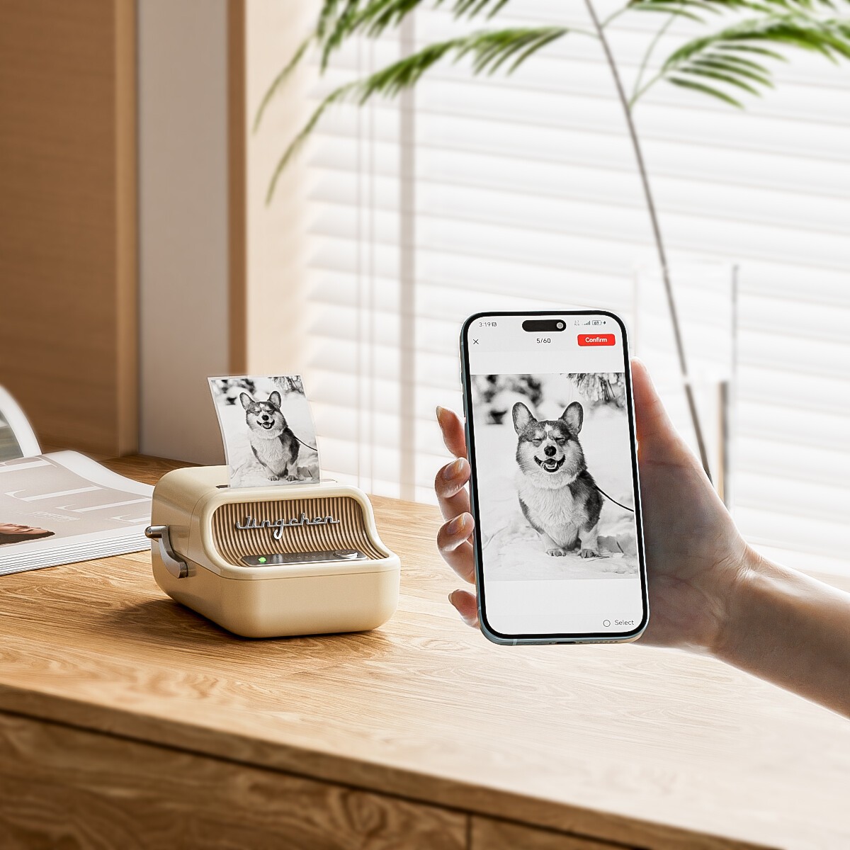 Niimbot Smart B21S 1AC1C171605 tlačiareň štítkov, biela + role etikiet.


Tlač pomocou priamej termálnej technológie – čisté, odolné a úsporné riešenie

Bluetooth pripojenie na podporu mobilnej tlače + tlač z PC

Kompatibilita s Niimbot App – bezplatná aplikácia pre Android, iOS aj Windows

Horizontálna aj vertikálna tlač

Podpora čiarových a QR kódov, textov, obrázkov a rámčekov.

Rozlíšenie 203 dpi

Šírka štítku 20–50 mm

Rýchlosť tlače až 60 mm/s.

Vstavaná batéria 1500 mAh – až 5 hodín nepretržitej prevádzky

Automatické rozpoznávanie štítkov

Vysoko odolné štítky

Multijazyčná aplikácia

Nízka hlučnosť a kompaktný dizajn

Obsah balenia
Tlačiareň štítkov Niimbot Smart B21S 1AC1C171605, USB-C nabíjací kábel, rolka etikiet 50 x 30 mm (210 ks), používateľská príručka