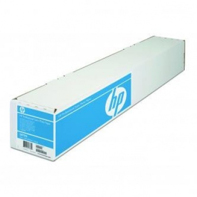 HP 610/15.2m/Professional Satin Photo, 610mmx15.2m, 24", Q8759A, 300 g/m2, foto papír, satén, bílý