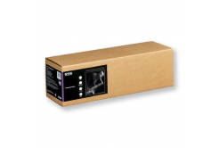 Epson Traditional Photo Paper C13S045054, 300 g/m2, 17", 432mmx15m, bílá, role papíru