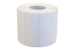 Labels (paper, plastic), label roll, TSC, W 100mm, H 150mm