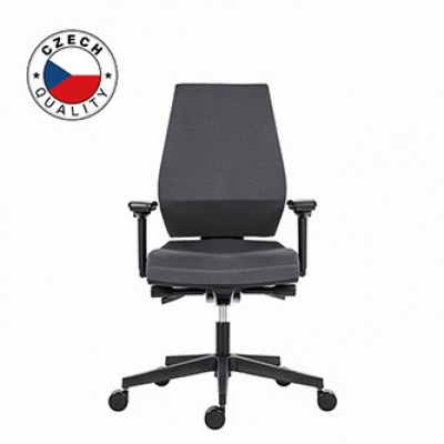 Powerton ERGO SIMA Kancelářské ergonomické křeslo, Šedé