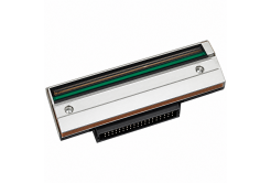 TSC PH-MH241-0001, Printhead, 203dpi