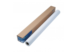 Epson Doubleweight Matte Paper Roll C13S041387, 180 g/m2, 44", 1118mmx25m, matná, bílá, role papíru