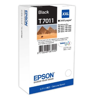 Epson T7011 C13T70114010 černá (black) originální cartridge