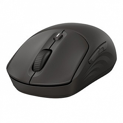 HP Wireless myš bezdrátová, černá, 1200DPI